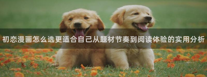 漫蛙漫画搜索漫画：初恋漫画怎么选更适合自己从题材节奏到阅读体验的实用分析