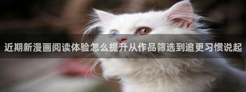漫蛙漫画最新榜单:近期新漫画阅读体验怎么提升从作品筛选到追更习惯说起