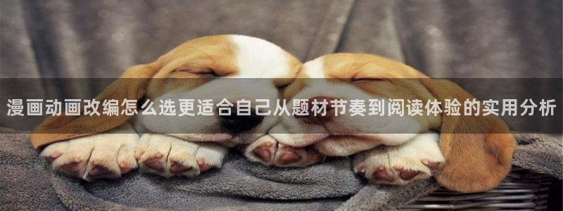 漫蛙漫画热血漫画：漫画动画改编怎么选更适合自己从题材节奏到阅读体验的实用分析
