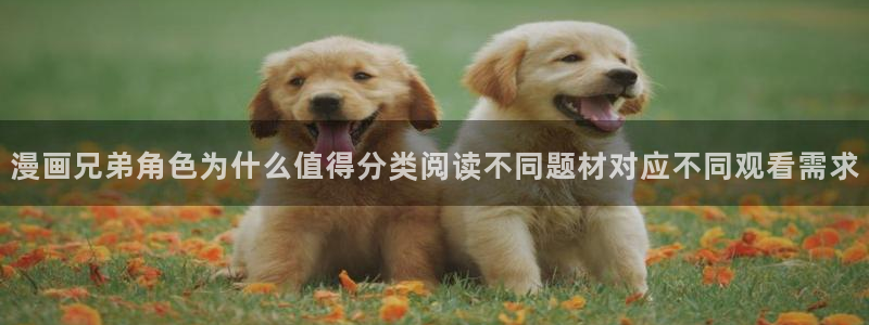 漫蛙漫画最新漫画大全:漫画兄弟角色为什么值得分类阅读不同题材对应不同观看需求