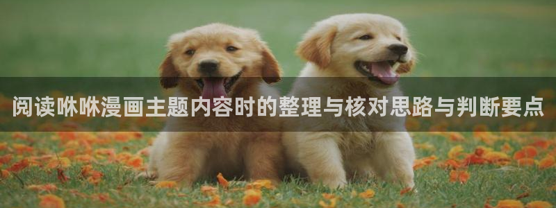 漫蛙漫画页面入口：阅读咻咻漫画主题内容时的整理与核对思路与判断要点