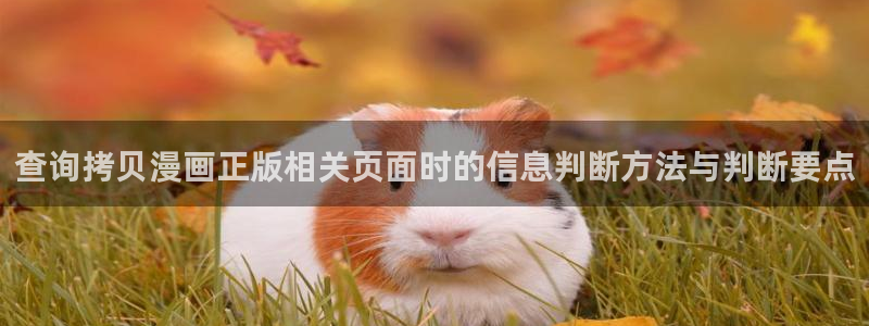 漫蛙漫画漫画热点：查询拷贝漫画正版相关页面时的信息判断方法与判断要点