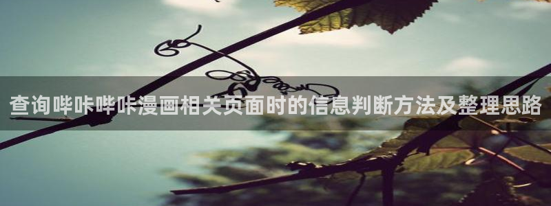 漫蛙漫画漫画内容导航:查询哔咔哔咔漫画相关页面时的信息判断方法及整理思路